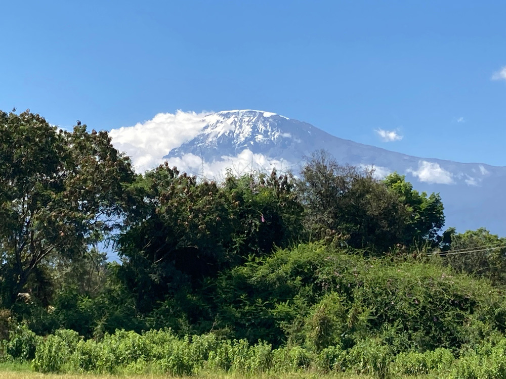 Kilimanjaro zum Artikel Arbeiten und Leben in Tansania – ein Erfahrungsbericht